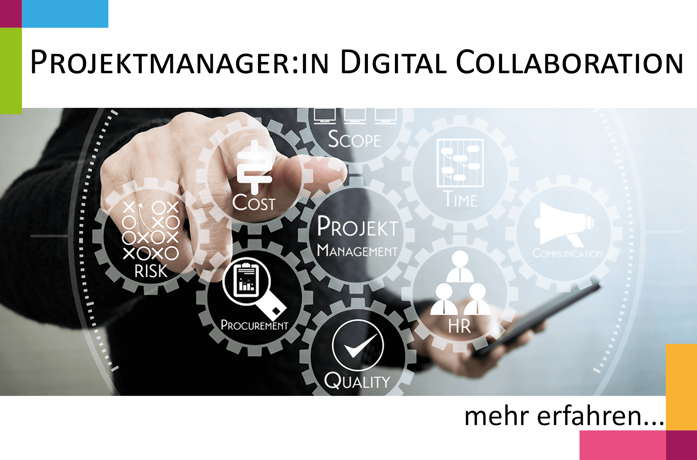 Digital ProzessDeveloper:in